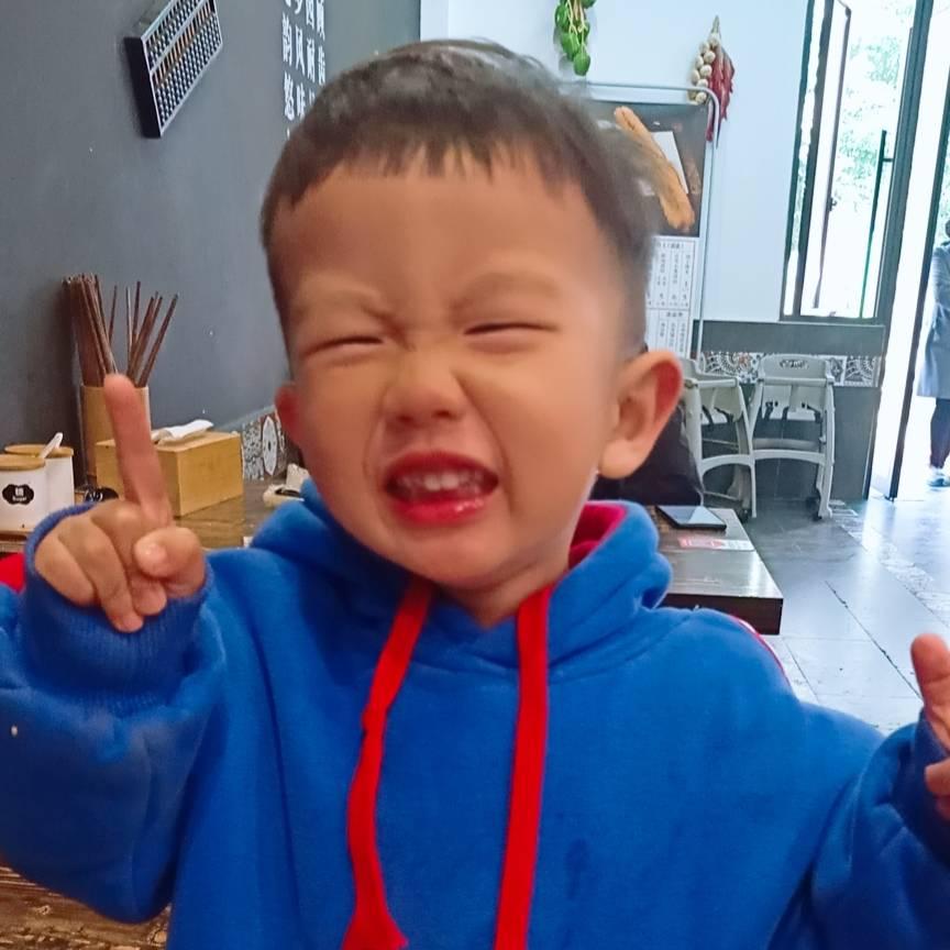 逗比的诺哥