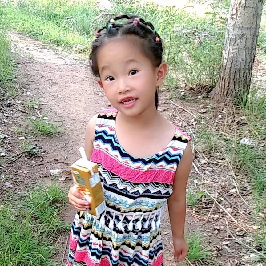 雪中绽放的腊梅