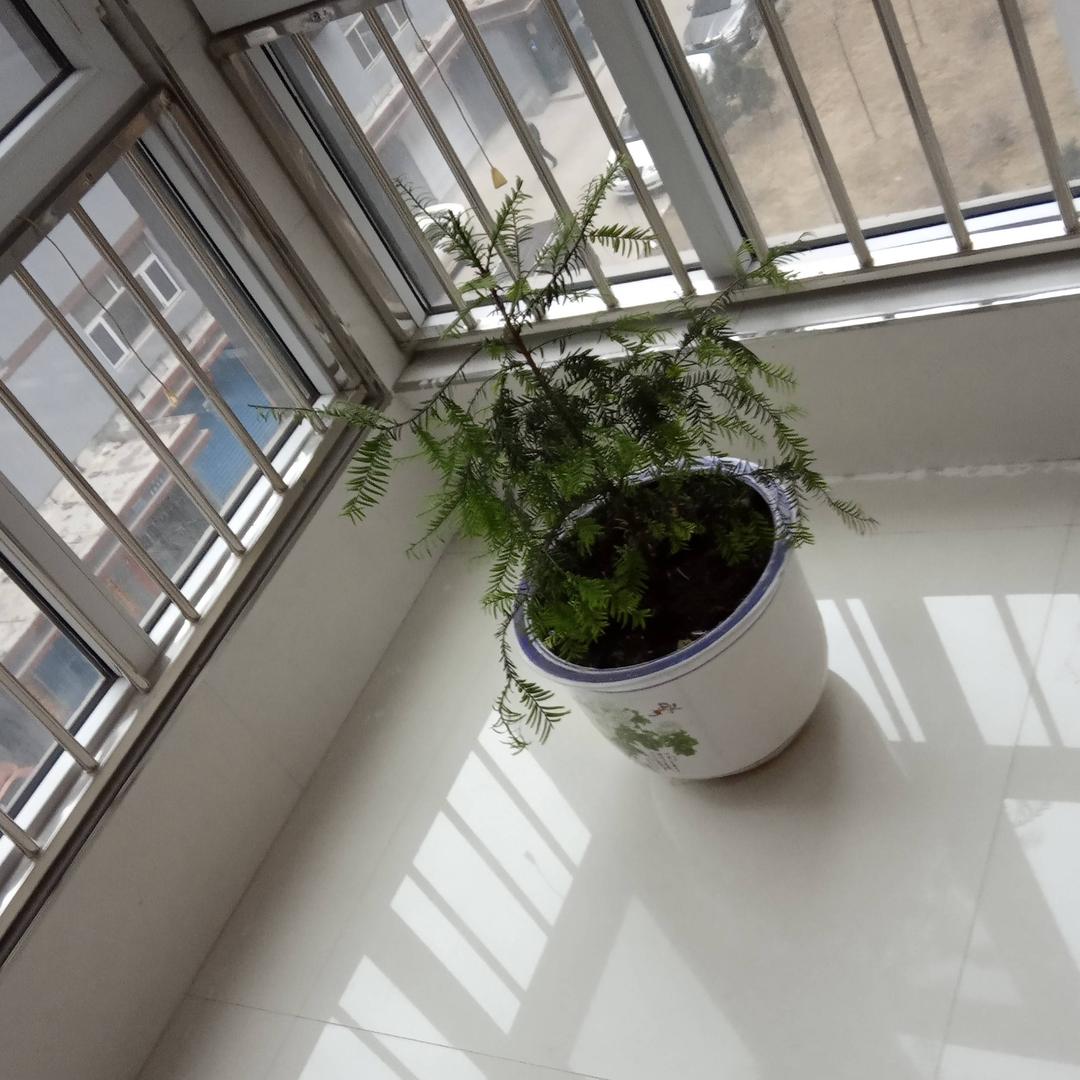 用户54667785