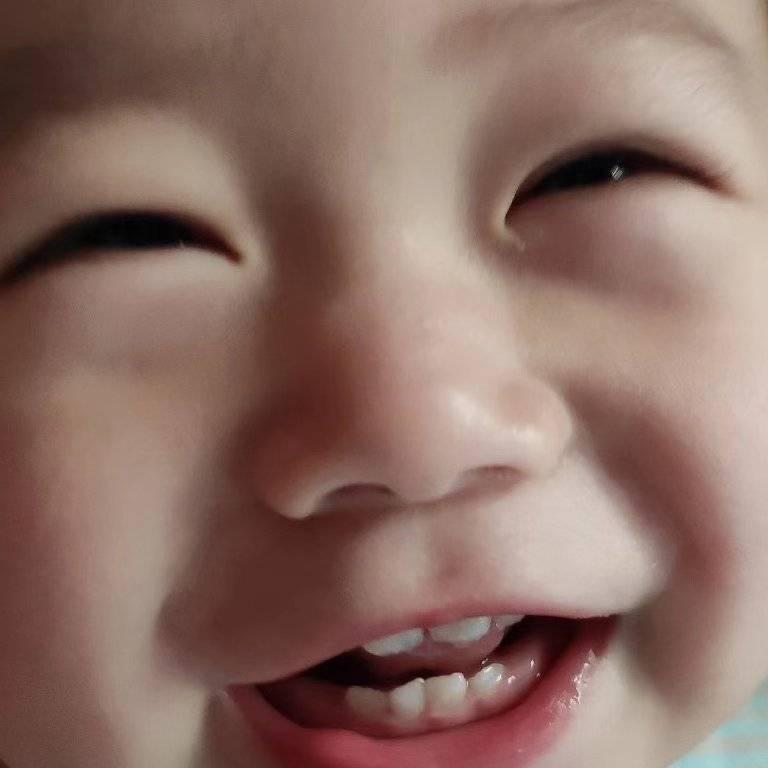 红果子358