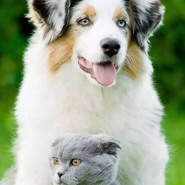 一生有你就好^O^