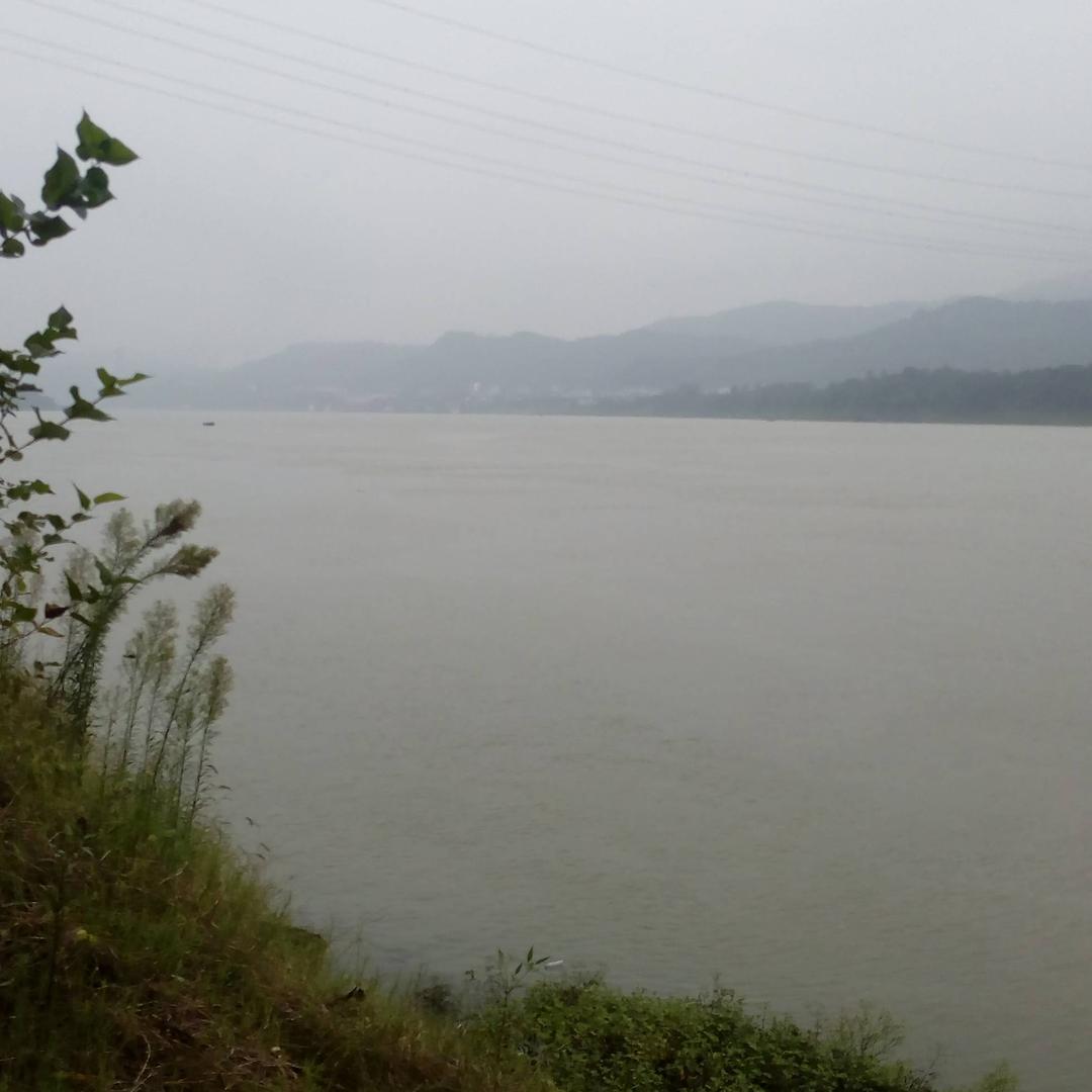 开心姐感恩的心