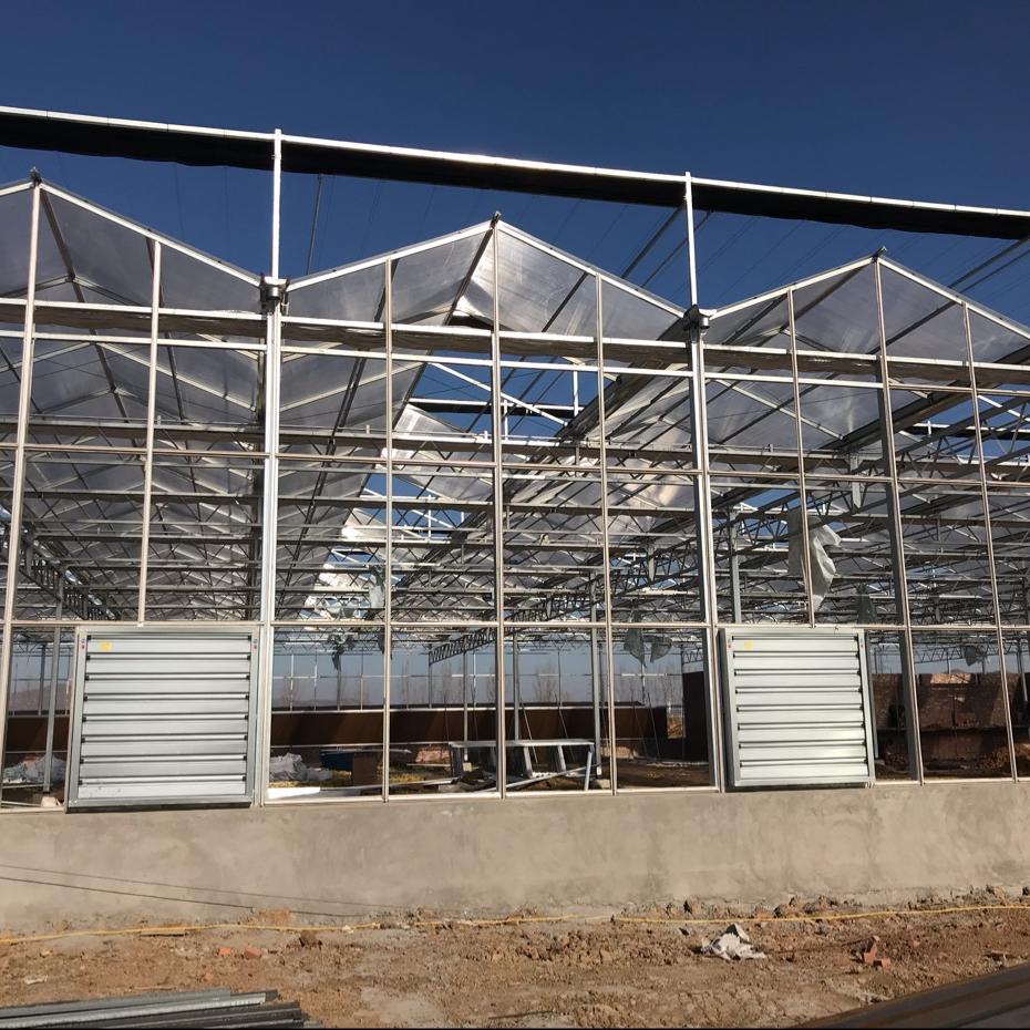 河北唐玉温室大棚厂家
