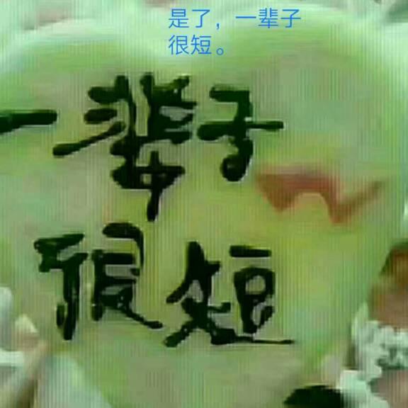 阳光明媚