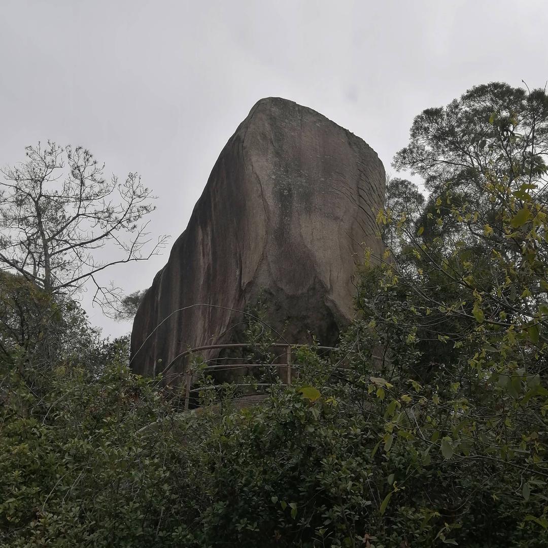 南山樵子蓝溪人
