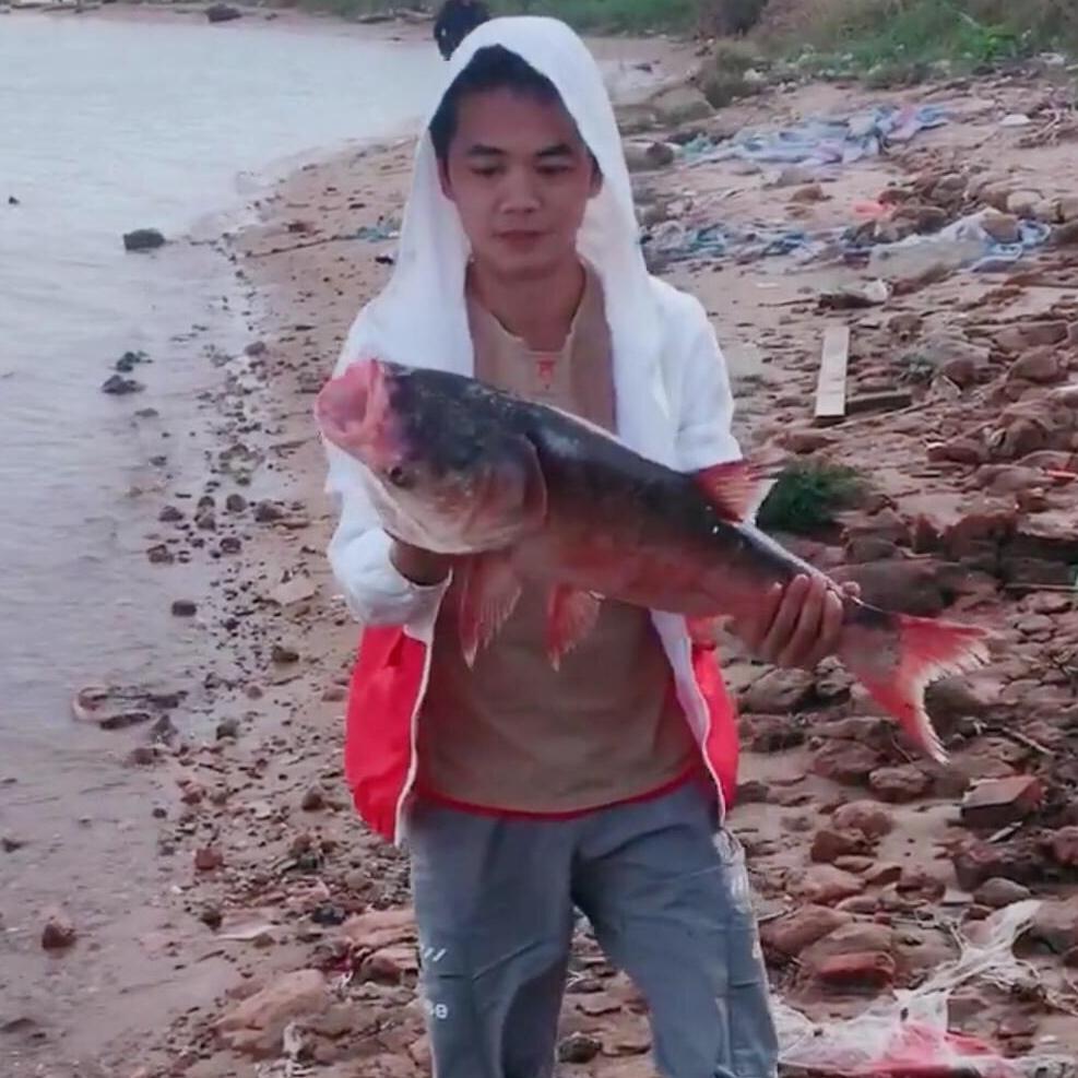 钓鱼🚩小飞