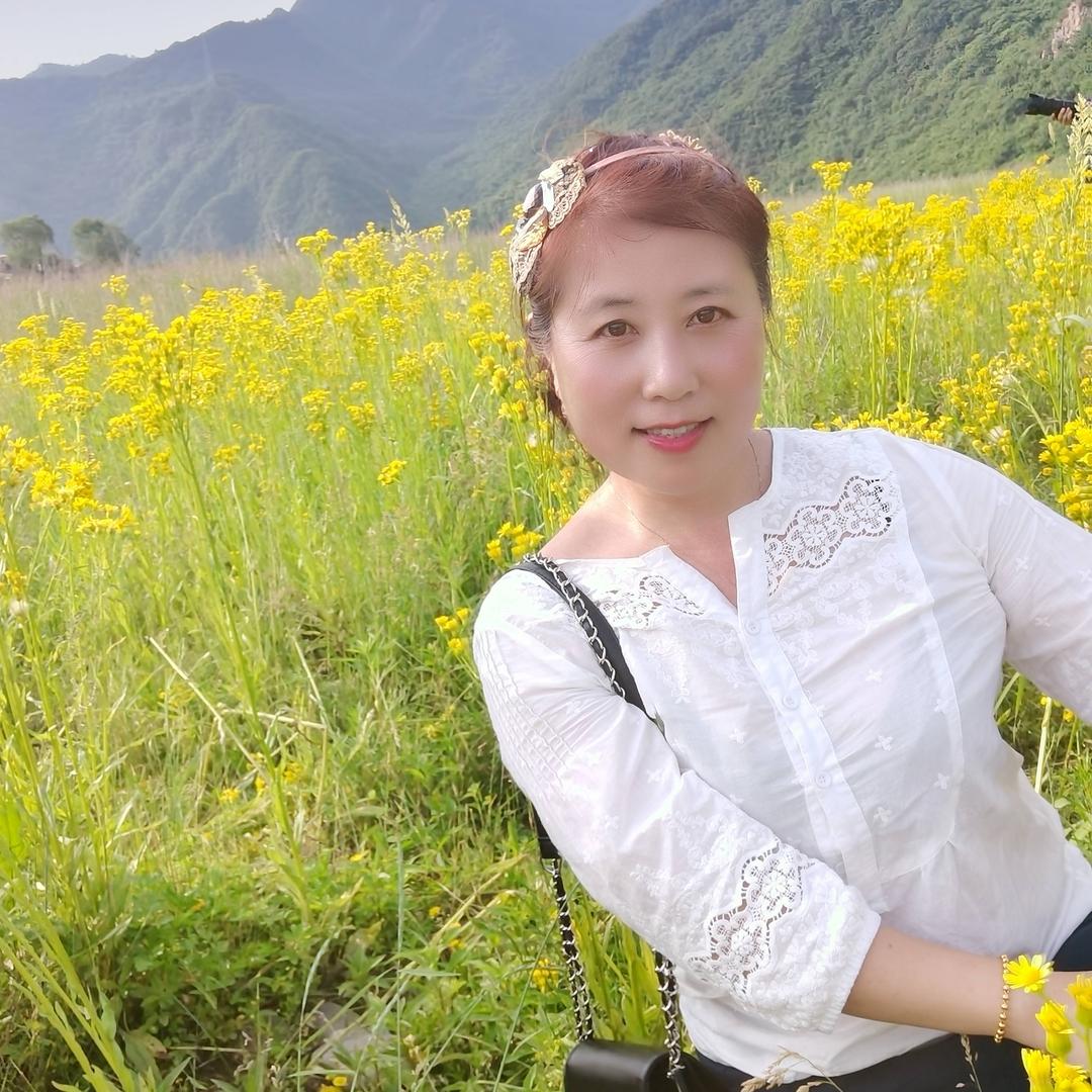 开心晓竹