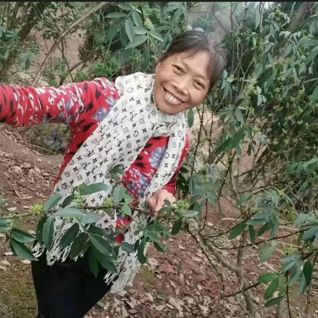 苦尽甘来91212,