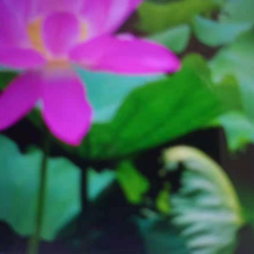 用户24359918