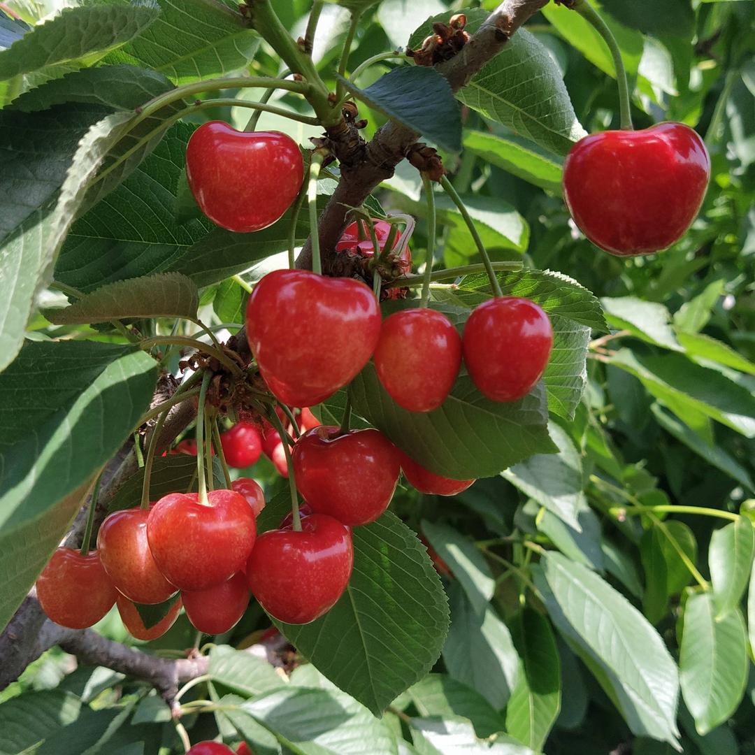 幸福快乐伴随每一天