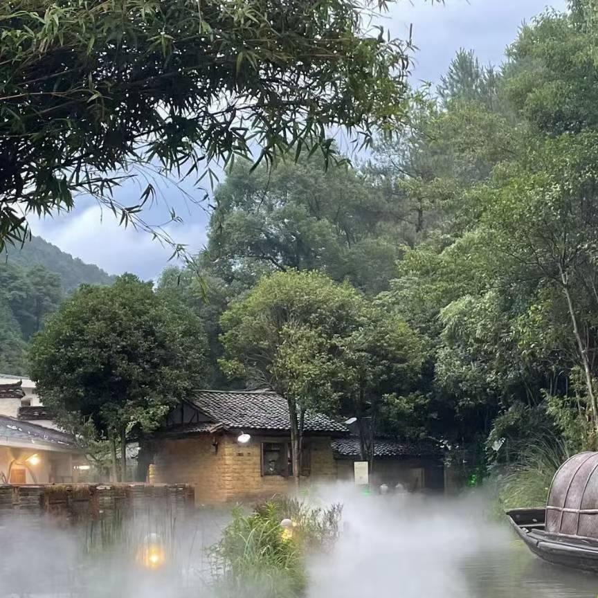 自由飞翔