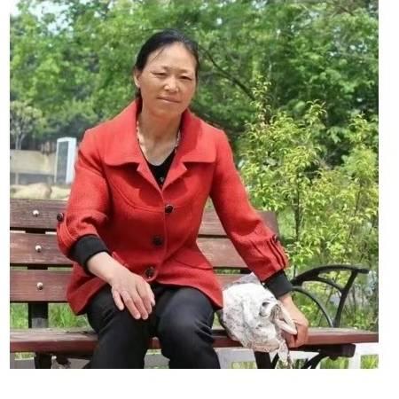 知足常乐，