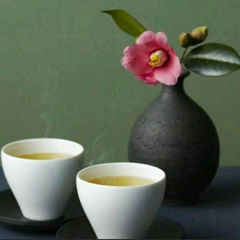 梦寒🍀