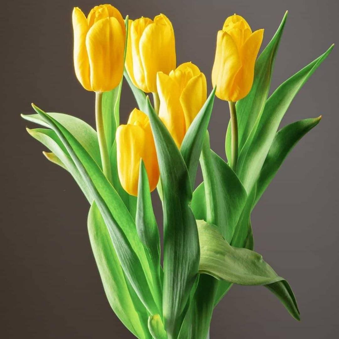 生命不息冲锋不止2