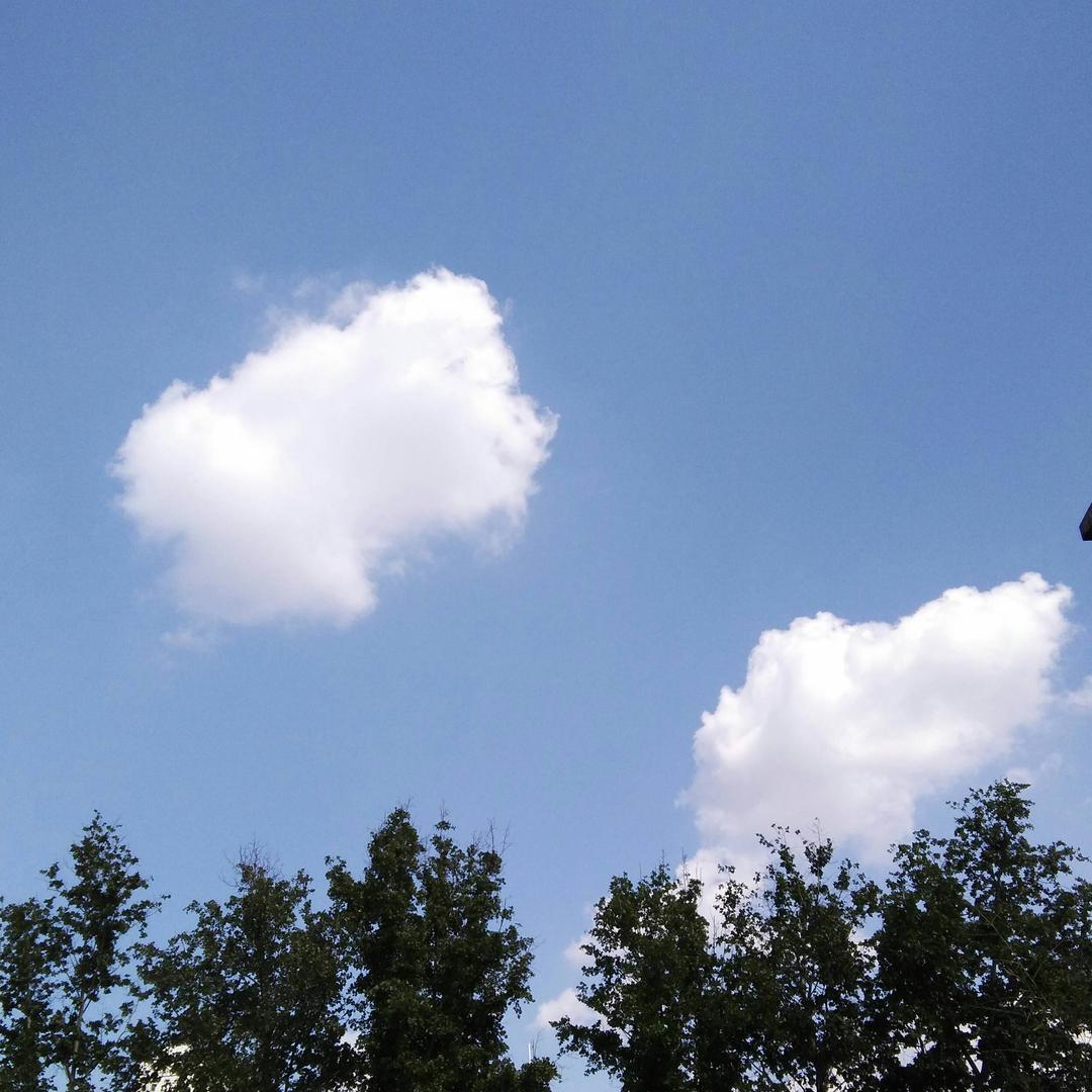 朵朵彩云☁☁☁