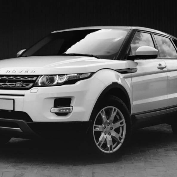 @终将失去的骚年