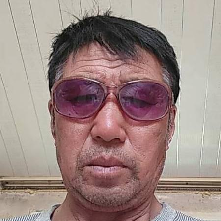 草原上的骏马。