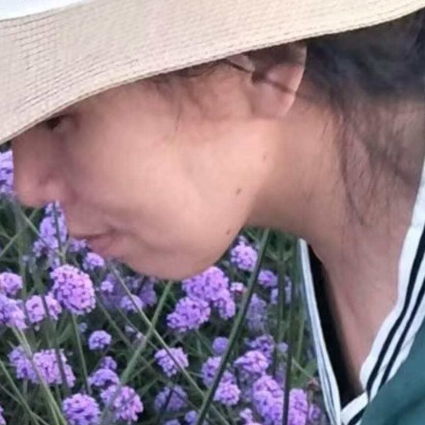 小豌豆小豌豆