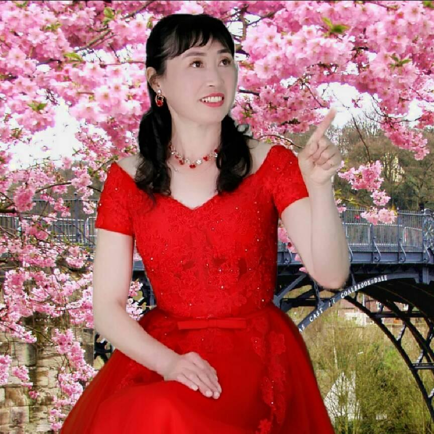 🎄忘忧草🎄
