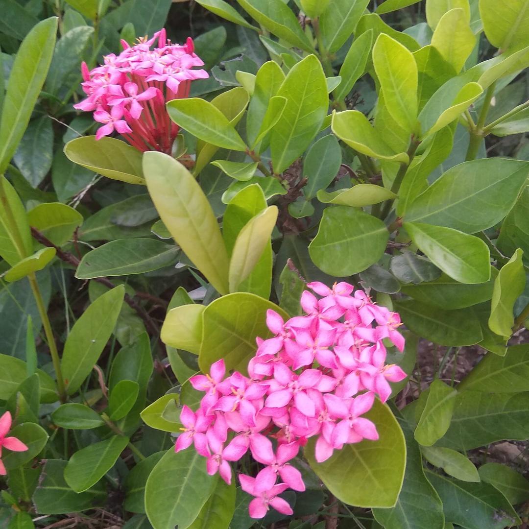 💖踏实生活💖