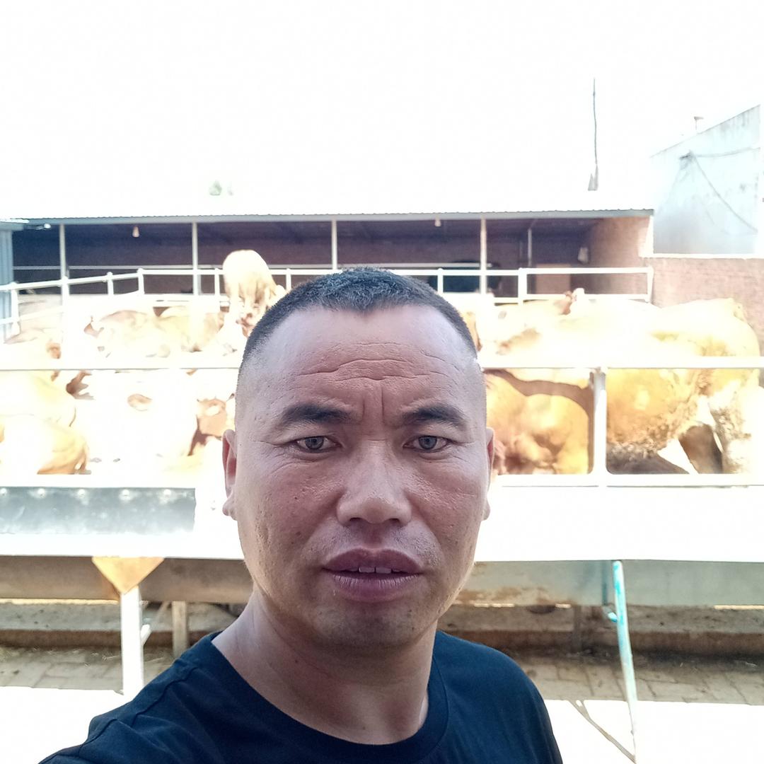 牛人光哥