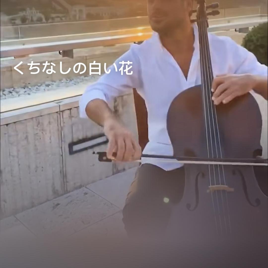 全球甄选暴涨乐库