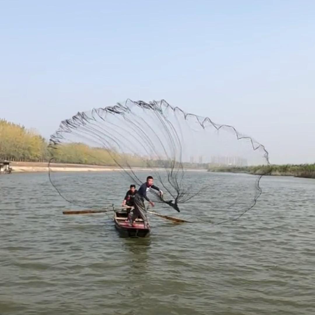 大师兄撒网