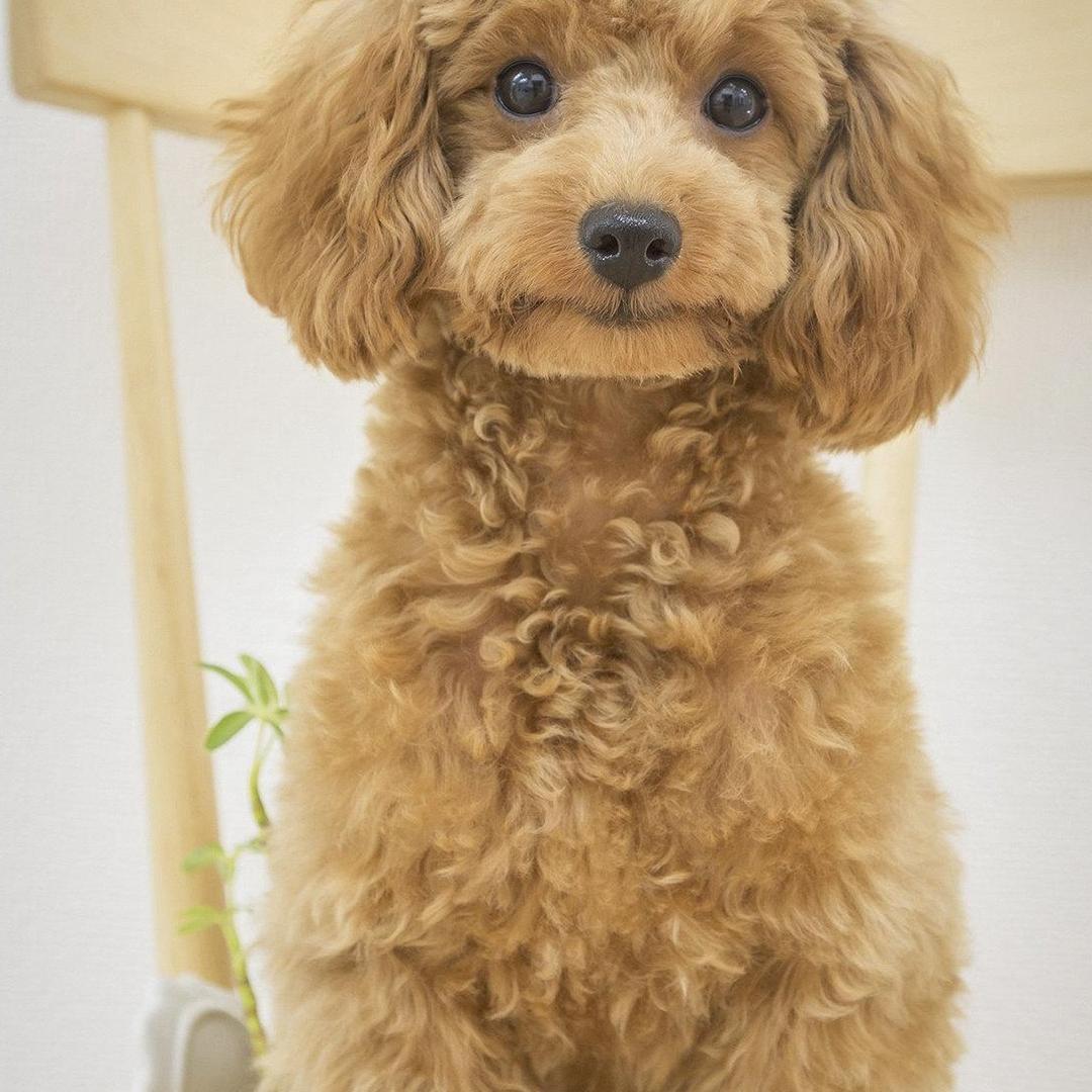 老六和老七