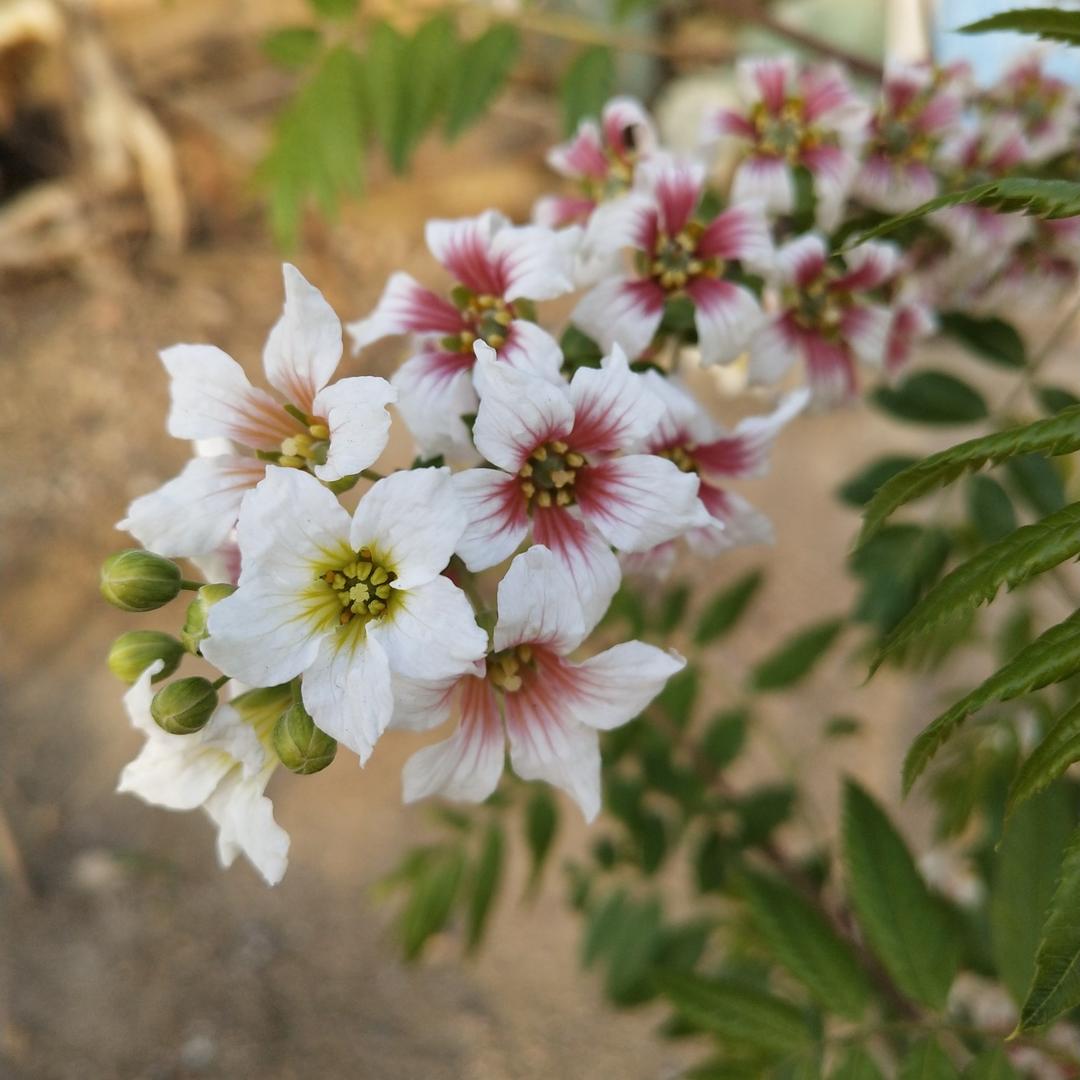 时间久了友情也淡了_