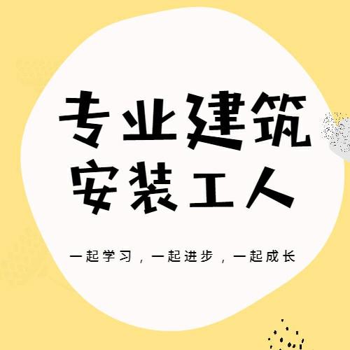 专业建筑安装工人