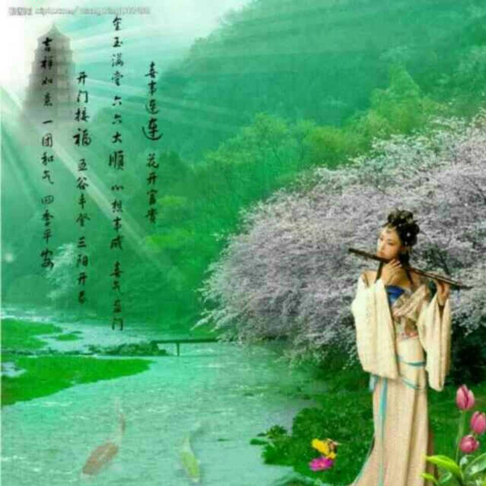 💞💕梅兰竹菊💞