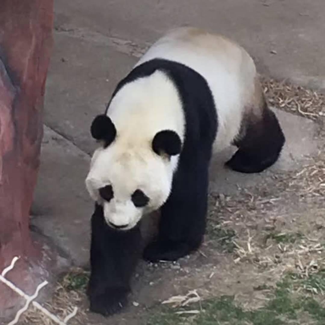 逗你玩hu