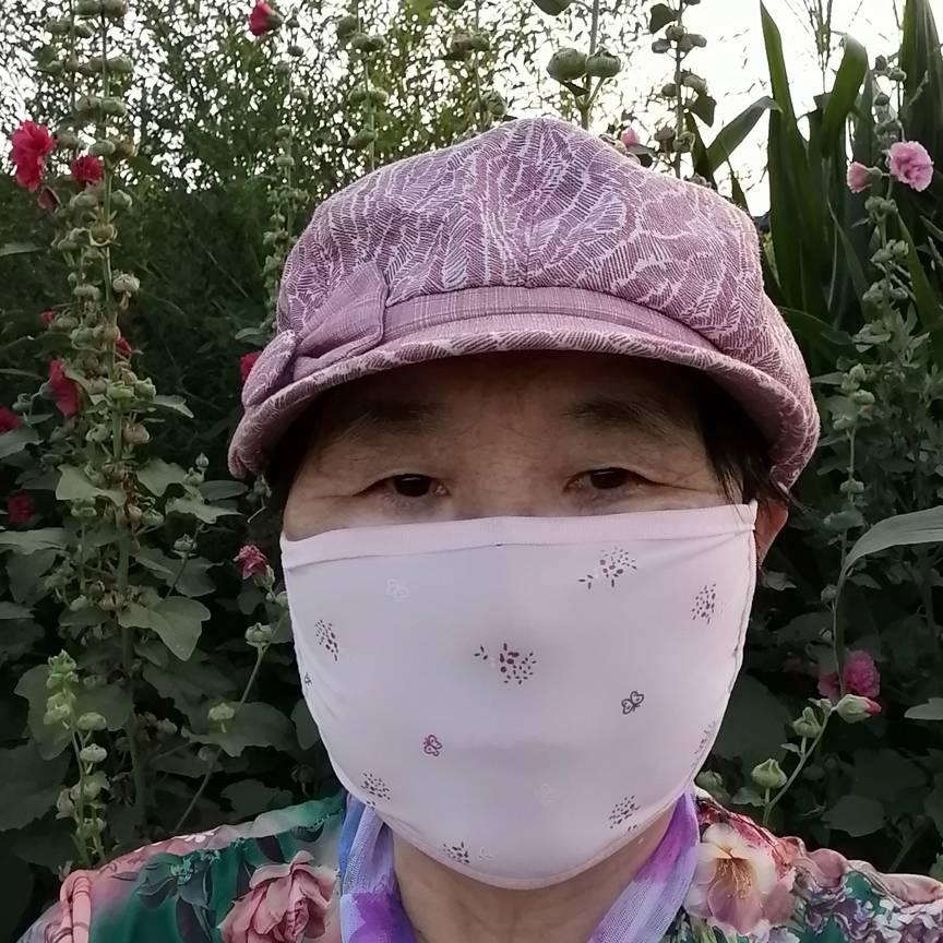 灵芝宝典