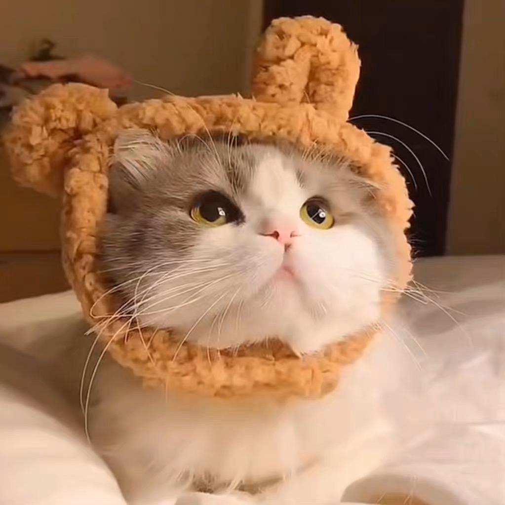 仰望蓝天
