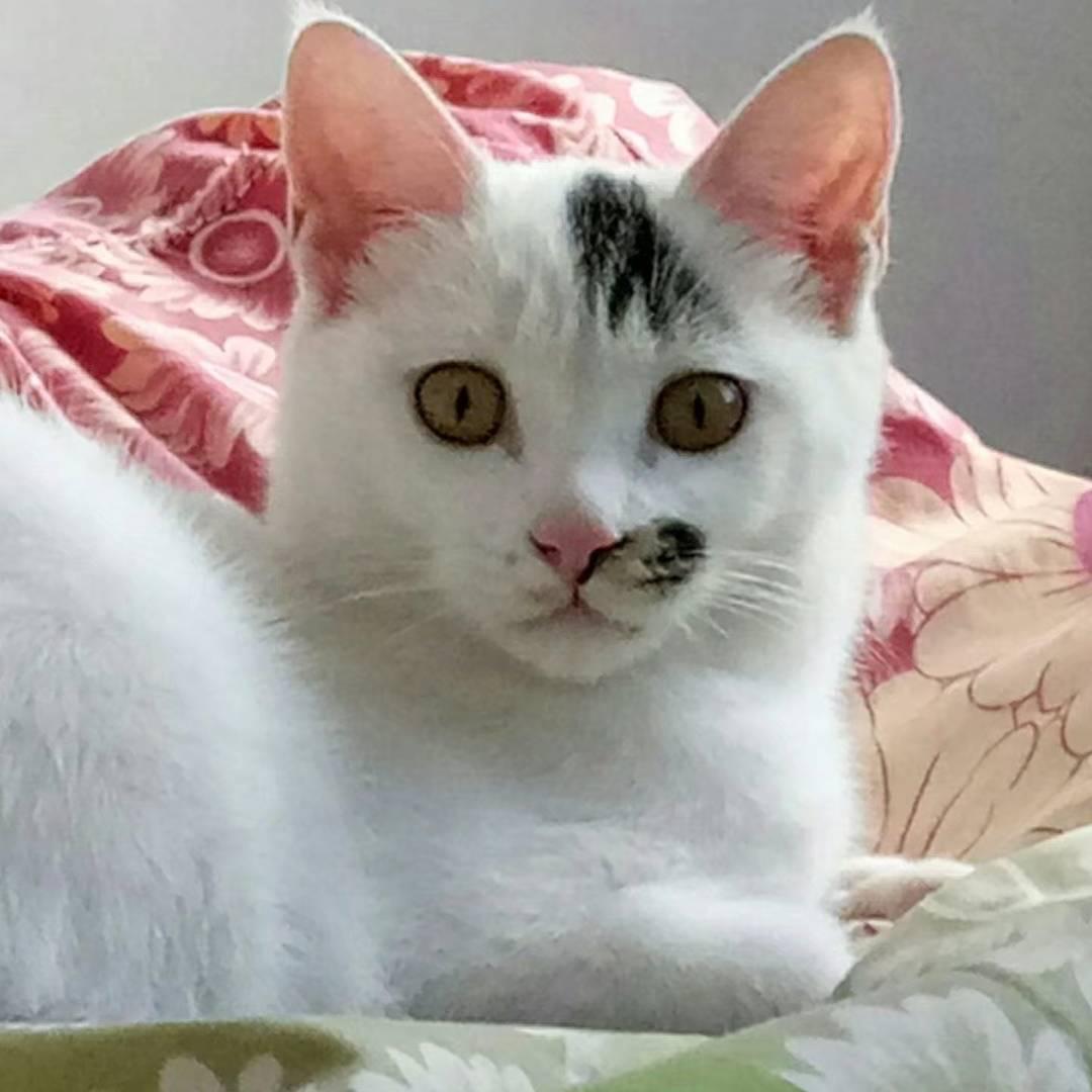 95后，丹妮儿