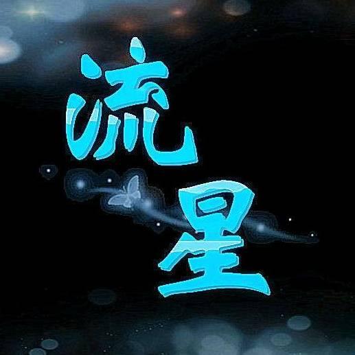 ✨流星✨