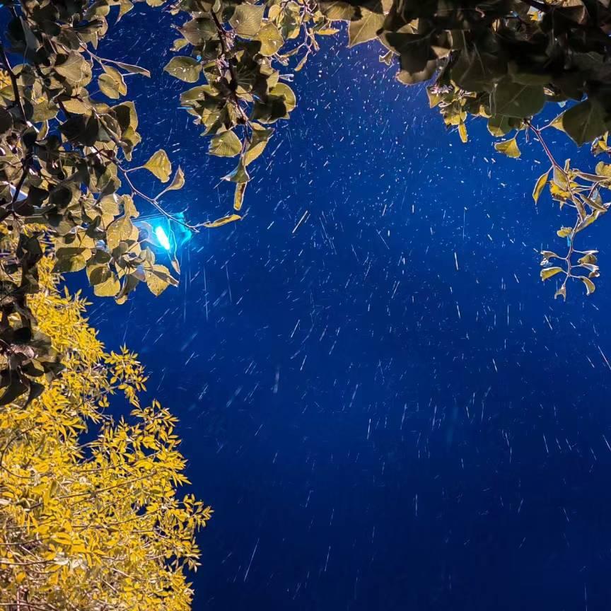 天津信泽慧海公棚