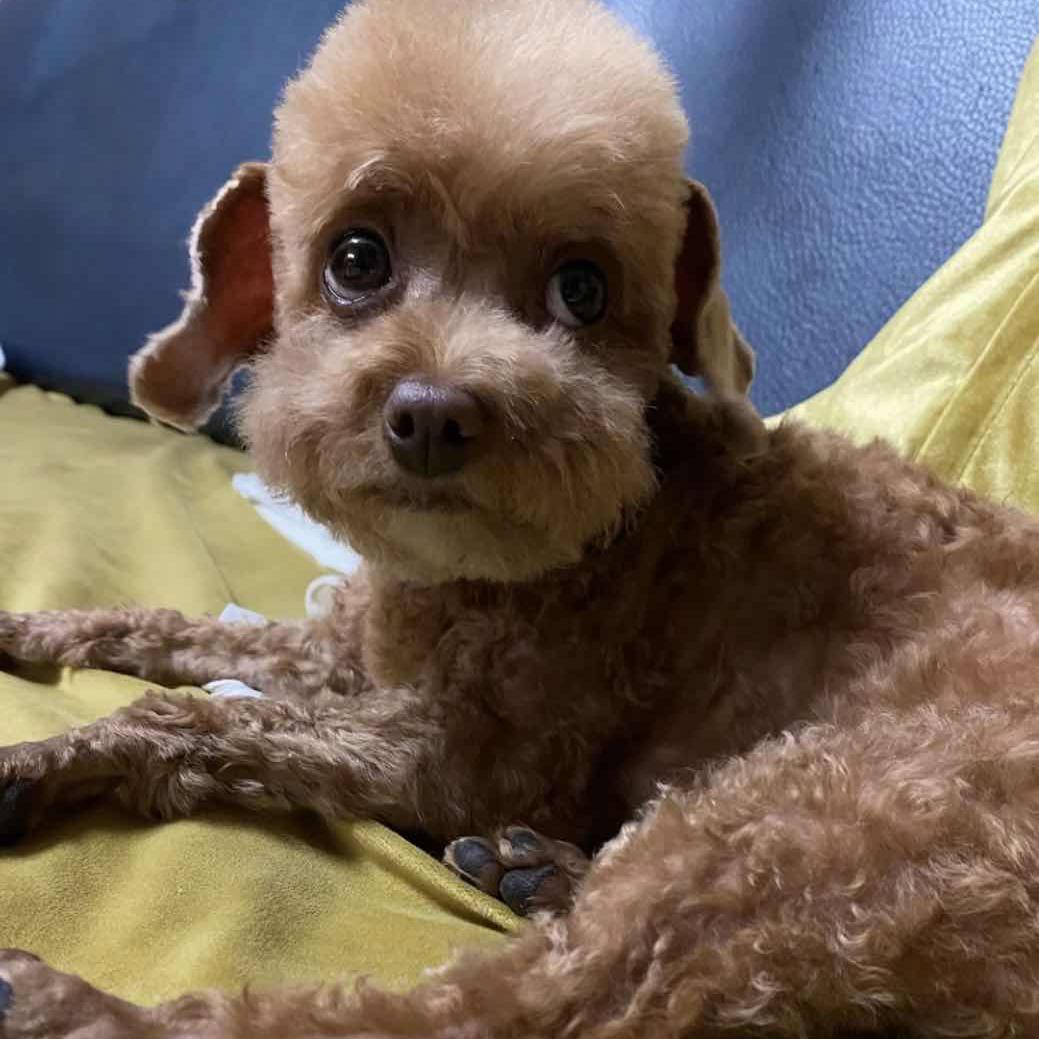 .卡卡.