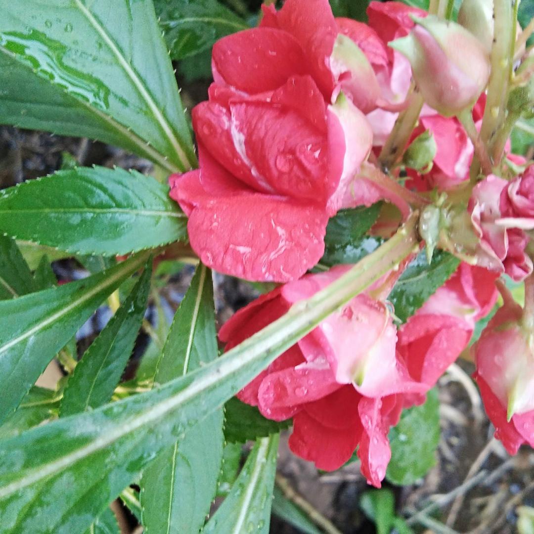 融章，居士，