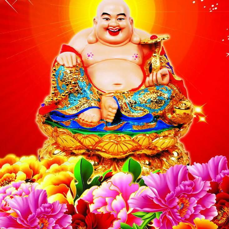 你的世界我主宰