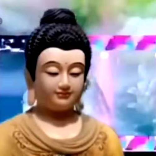 菩提妙净宋金城🙏🙏🙏