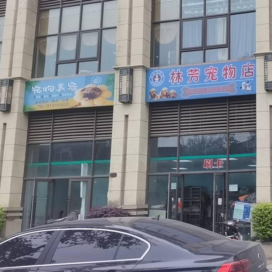 林芳犬舍宠物店