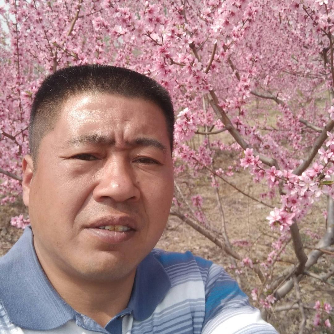 过客_2141764