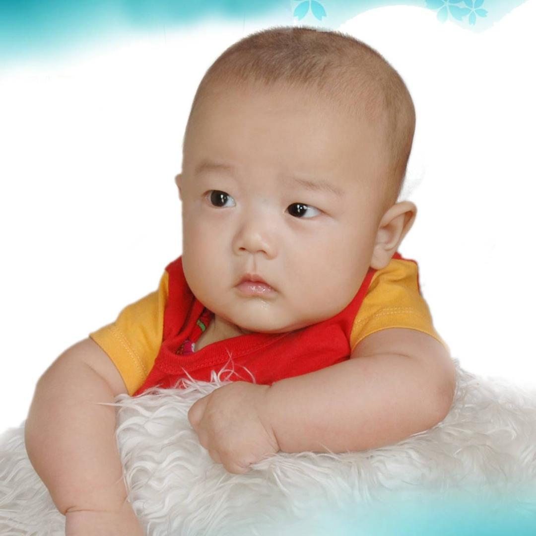 豪宝贝