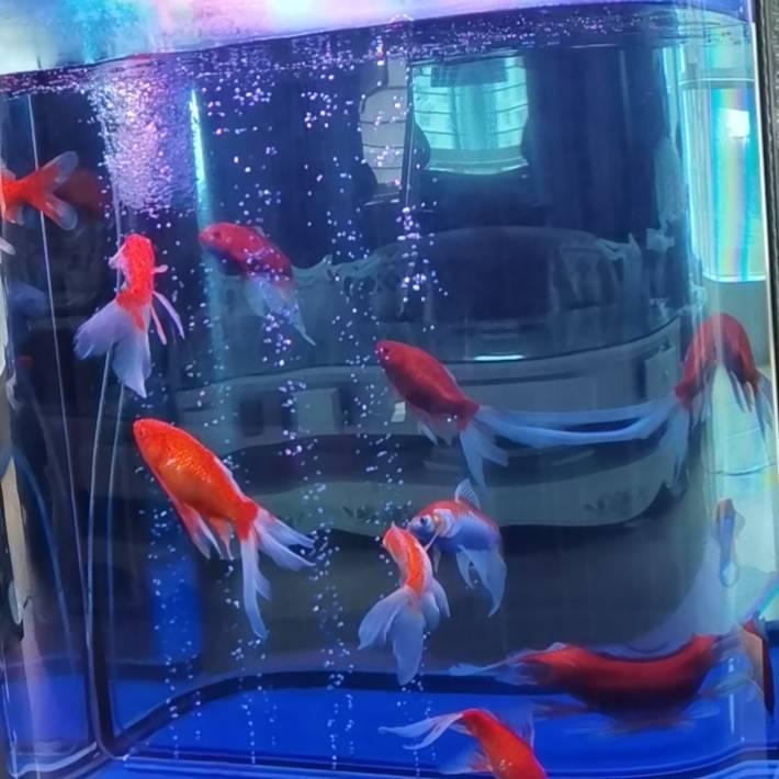 家合万事兴