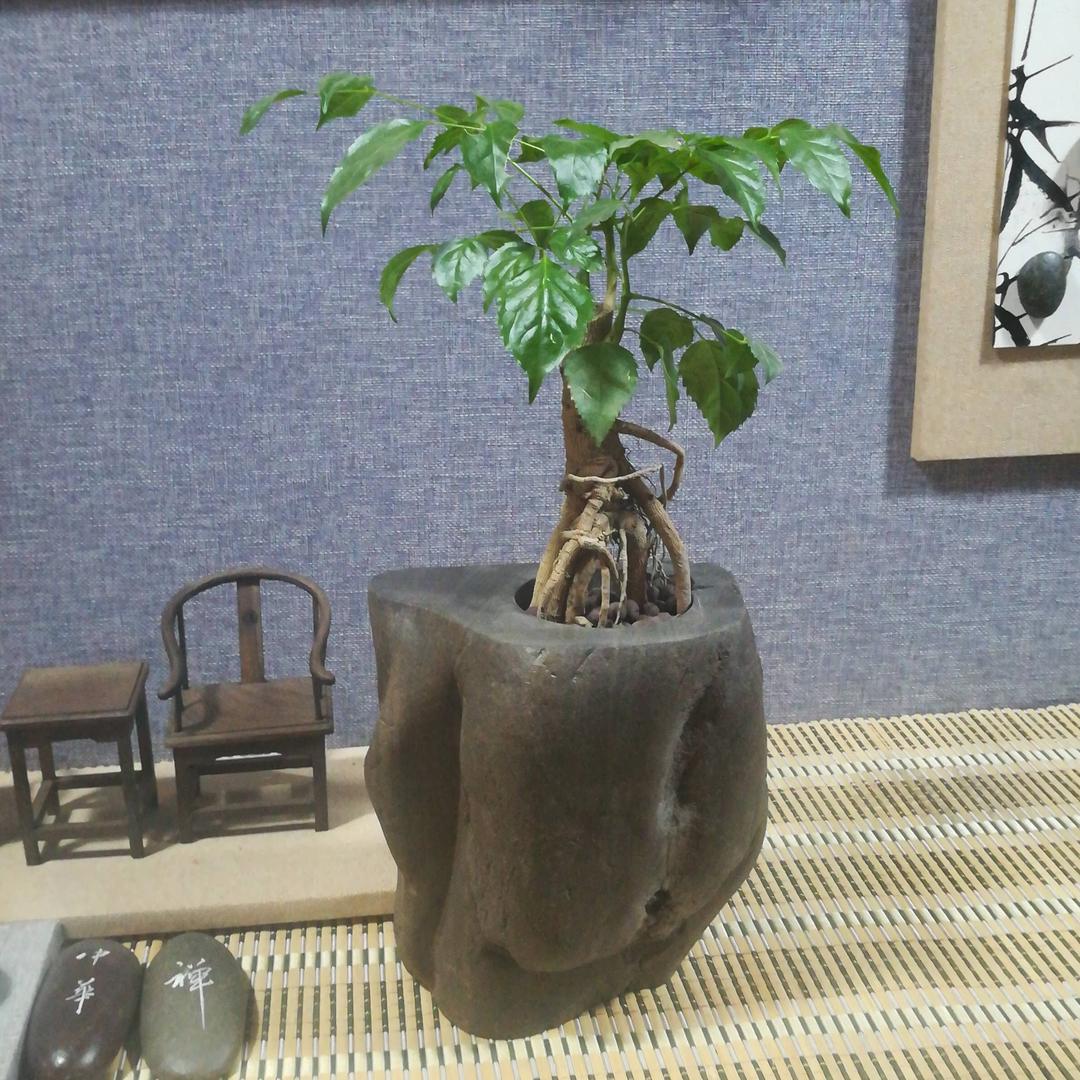 紫罗石艺坊