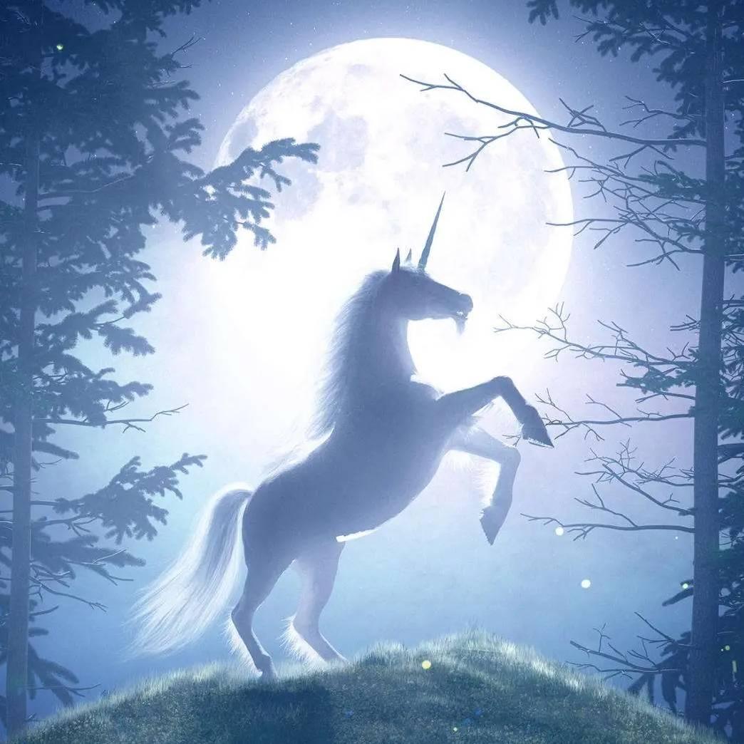 🌜萌萌的男神🌛