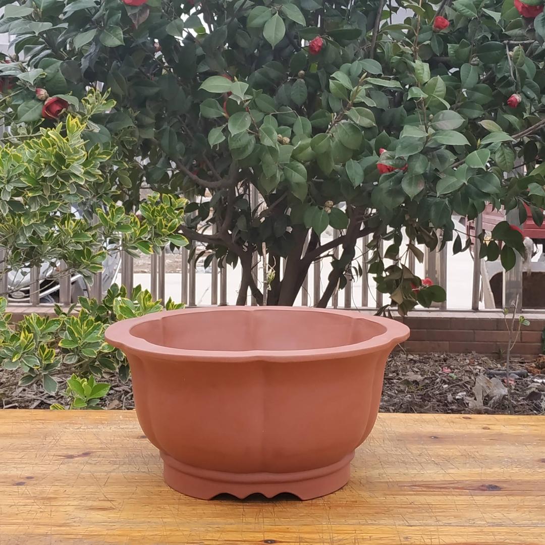 宜兴市丁蜀镇尚诚鼎紫砂店的小店