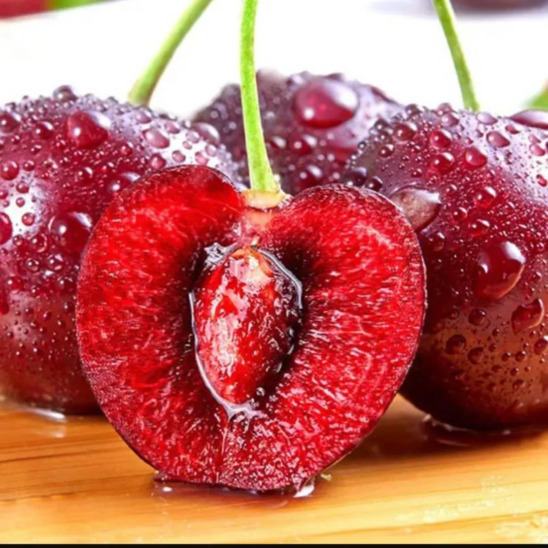 🌈爱吃栗子丨回味