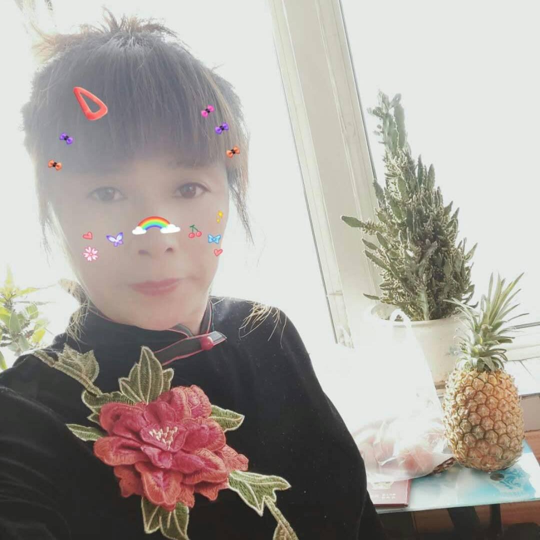 康乃馨8571
